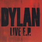 Dylan07FinFront.JPG (19422 bytes)